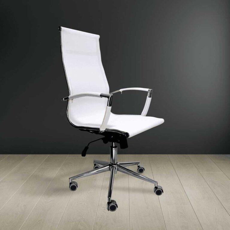 Kompjuterska Stolica